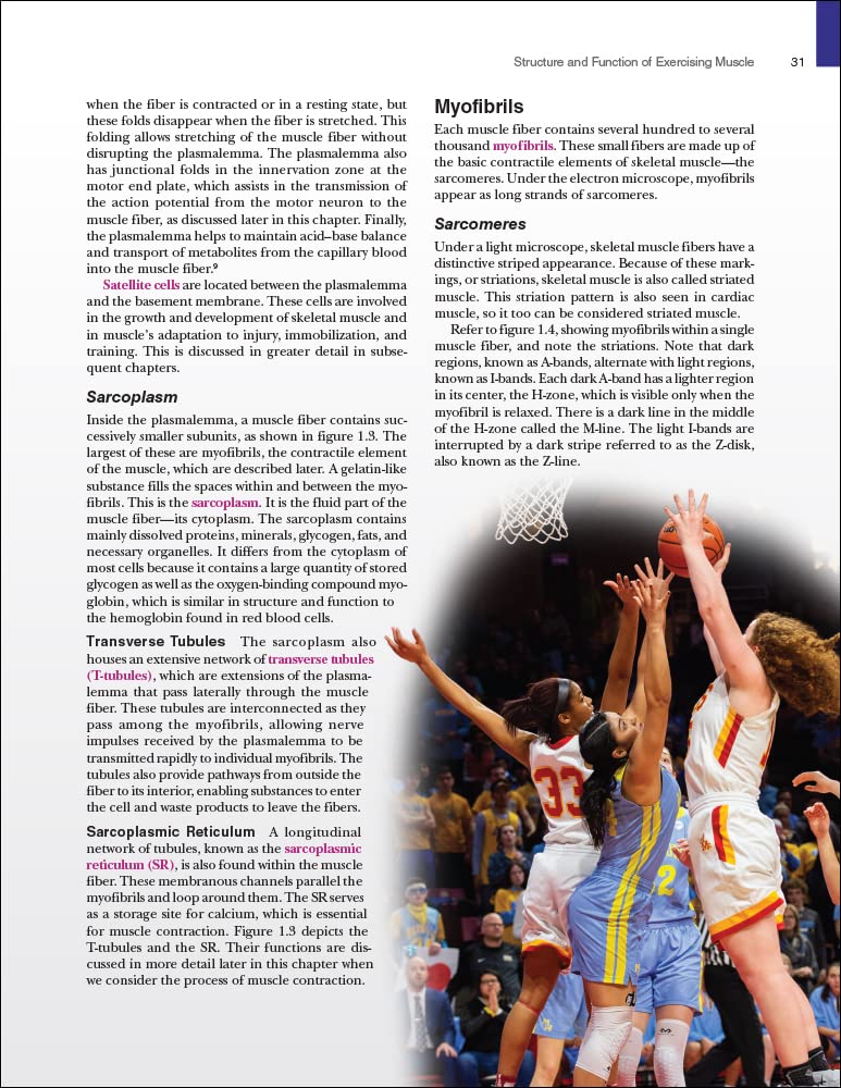 Physiology of Sport and Exercise - Science of Human Performance for Athletes & Fitness Enthusiasts | Training Guide for Running, Cycling & Gym Workouts