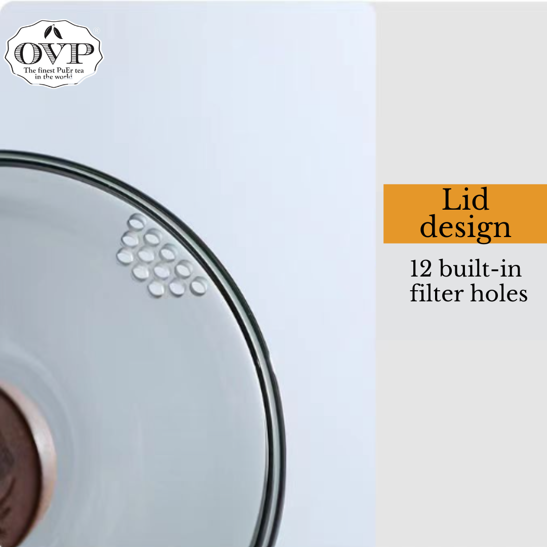 Premium Borosilicate Glass Tea Brewing Set - 2-in-1 Design with 250ml Capacity - Perfect for Loose Leaf Tea & Herbal Infusions at Home or Office
