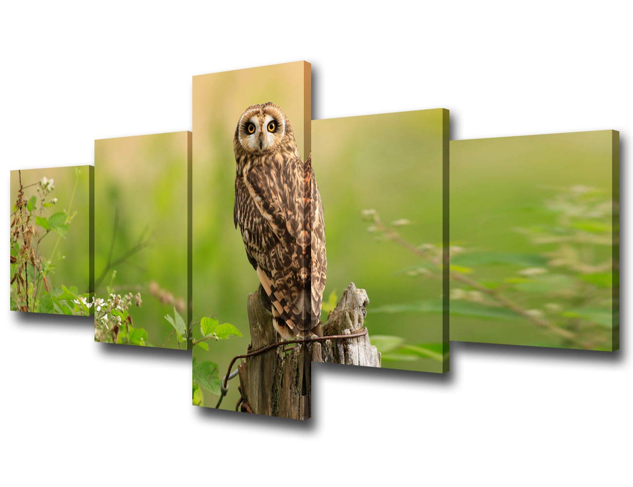 TUMOVO 5-Piece Owl Wall Art Set - Modern Animal Canvas Paintings for Living Room, Bedroom, Office Decor - Perfect for Home, Kitchen & Bathroom Wall Decorations | Enhance Your Interior Design with Nature-Inspired Art