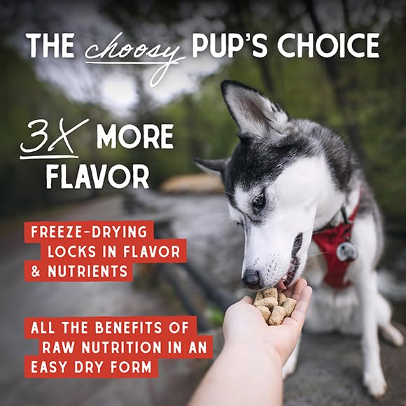 Stella & Chewy's Freeze-Dried Raw Chicken Dog Food Topper - 95% Cage-Free Chicken with Organs & Bone - Grain-Free Meal Mixer for Picky Eaters - 18oz Bag - Perfect for Kibble Topping, Training Treats & Digestive Health