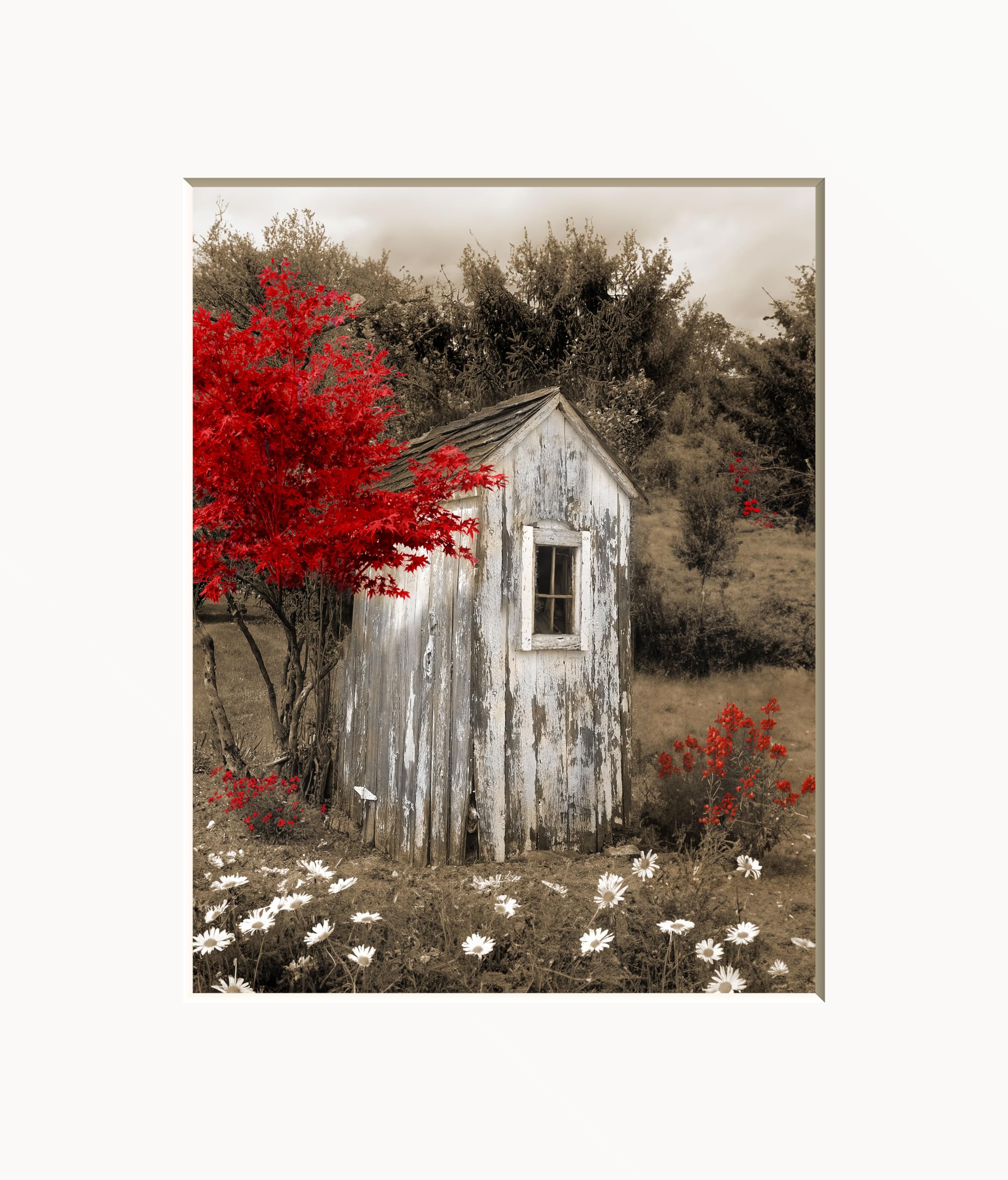 Farmhouse Bathroom Decor - Rustic Vintage Outhouse Flowers Photography Wall Art - Handmade Matted Picture in Red - Perfect for Country Style Bathrooms & Farmhouse Interior Design