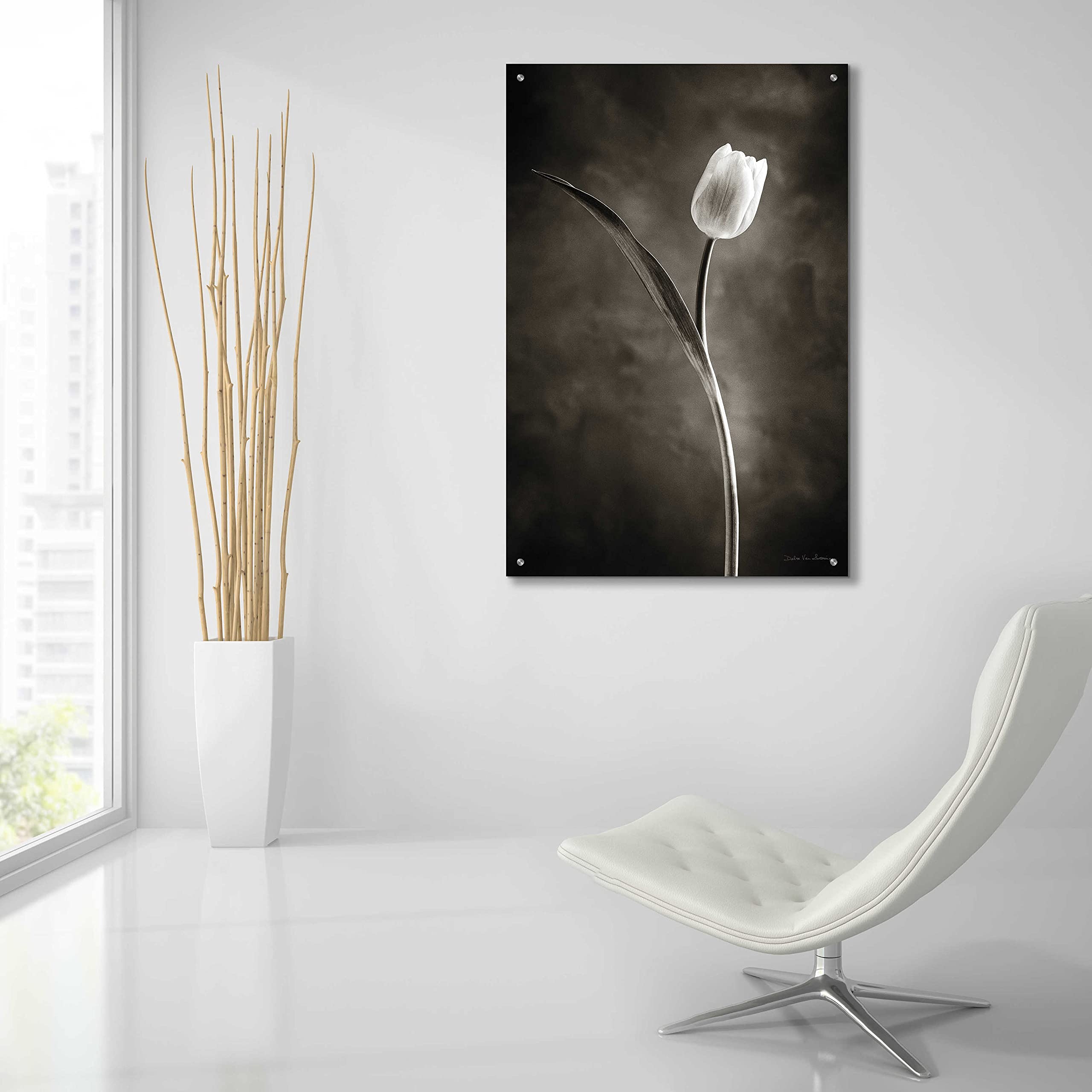 Two Tone Tulips II Acrylic Glass Wall Art by Debra Van Swearingen - 24x36 Inch Modern Floral Painting for Living Room, Bedroom & Office Decor