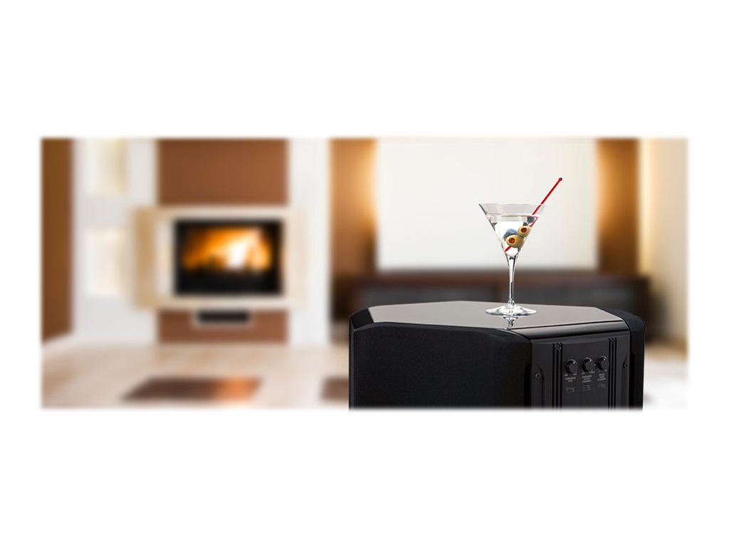 Paradigm Signature SUB 2 High-Performance Subwoofer - Premium Home Theater & Music Audio System for Immersive Sound Experience