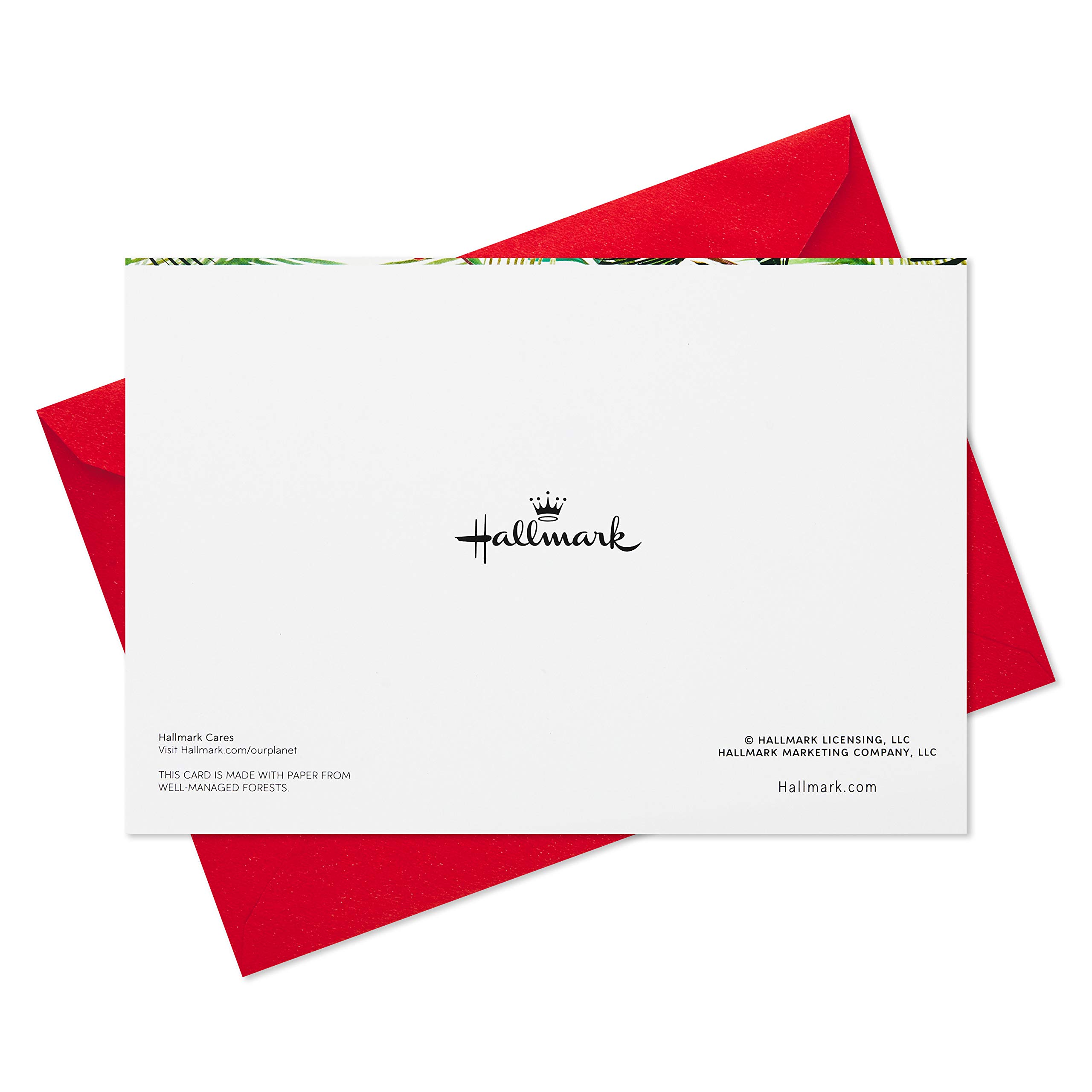 Hallmark Holiday Greeting Cards with Festive Greenery Design - Box of 40 Cards & Envelopes - Perfect for Christmas, Thanksgiving & Seasonal Celebrations