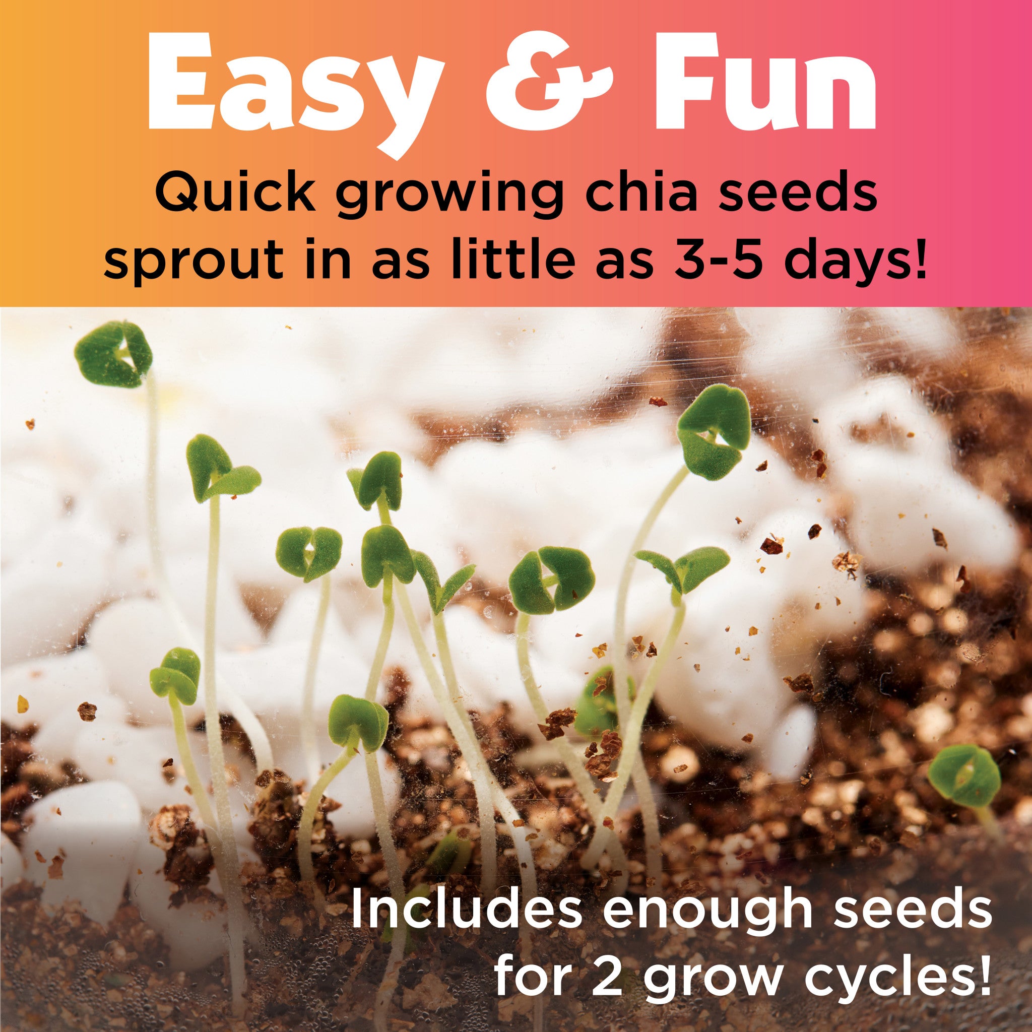 Unicorn Forest DIY Planting Kit for Kids - Grow Your Own Magical Garden - Fun Educational STEM Activity for Indoor & Outdoor Play