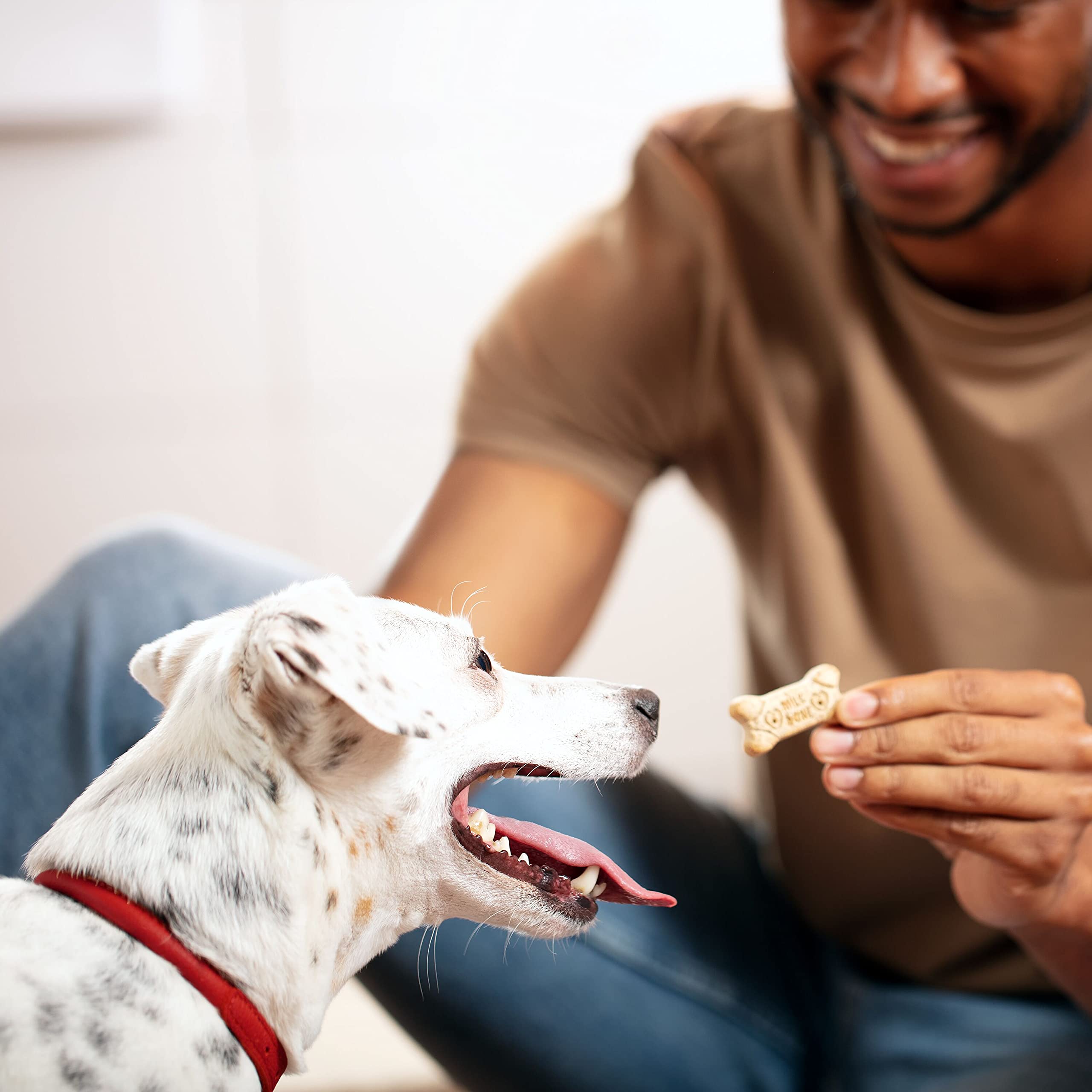 Milk-Bone Original Dog Treats for Medium Dogs - 24oz Crunchy Biscuits, Healthy Dental Care Snacks - Perfect for Training Rewards & Daily Treats (Packaging May Vary)
