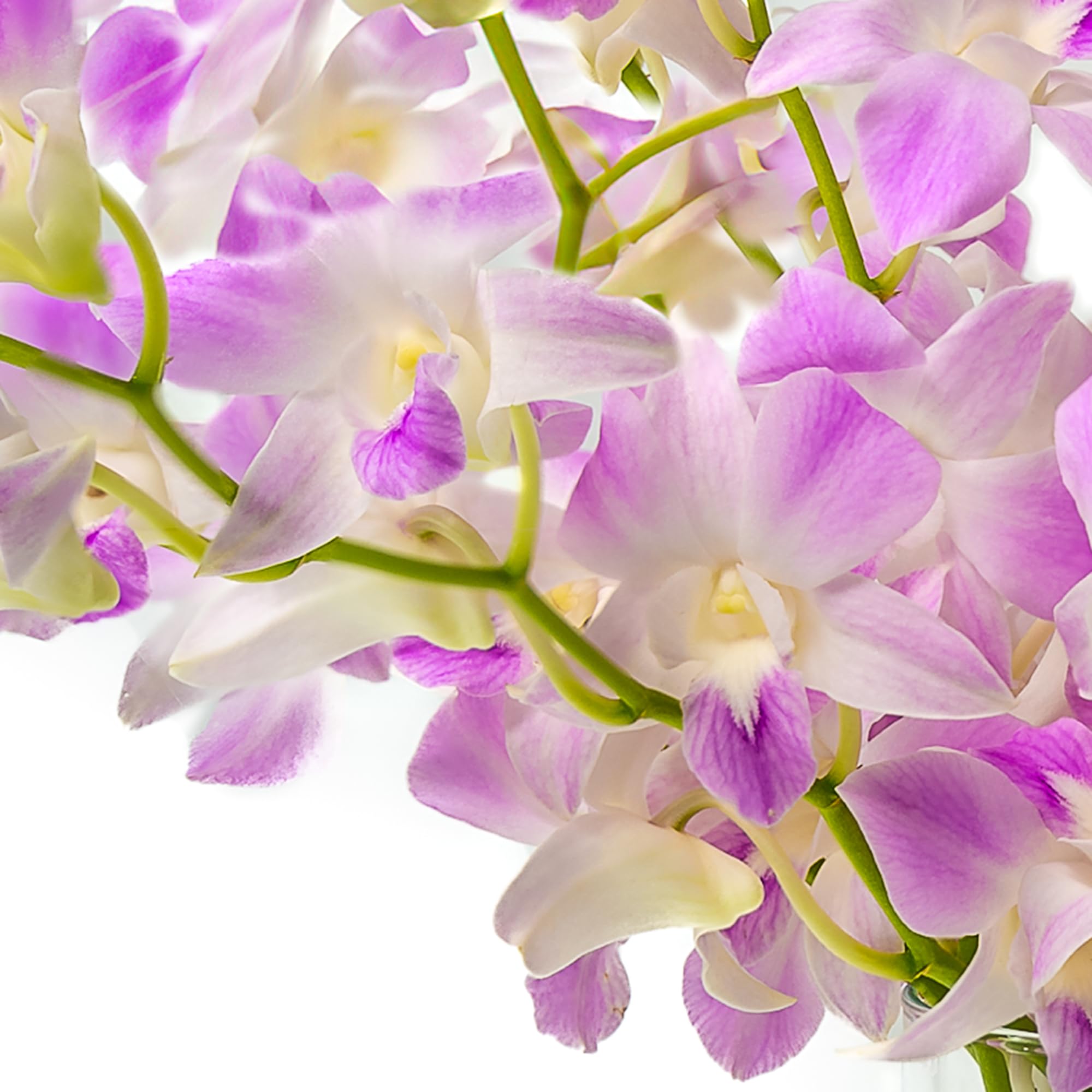 Premium Lavender Orchid Bouquet - 10 Stems Fresh Artificial Flowers for Home Decor, Weddings, Mother's Day, Anniversaries & Special Occasions - High-Quality Silk Orchid Arrangement for Centerpieces, Table Decor & Gifts