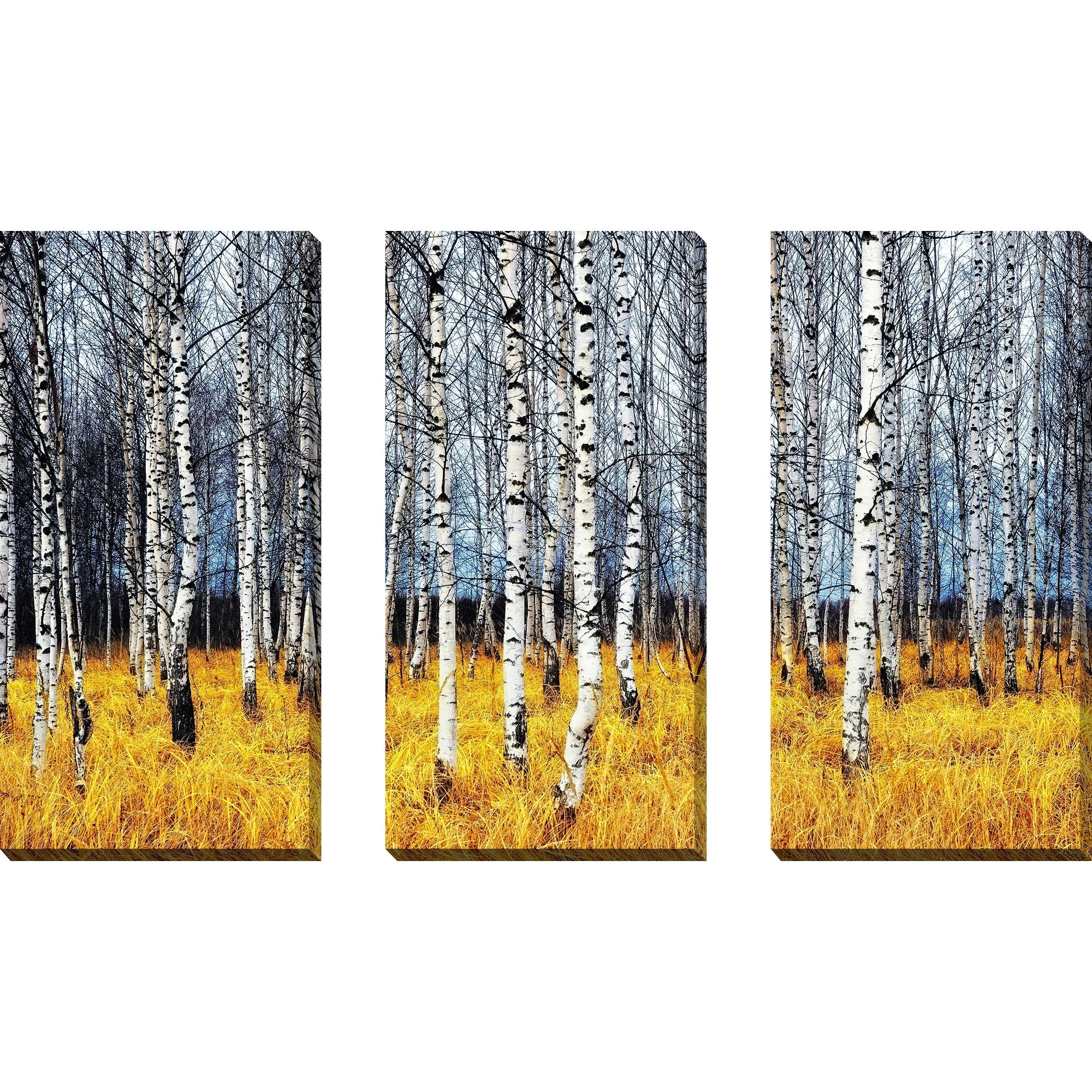 Birch Trees 2 3-Piece Canvas Wall Art Set - Modern Nature Decor for Living Room, Bedroom & Office