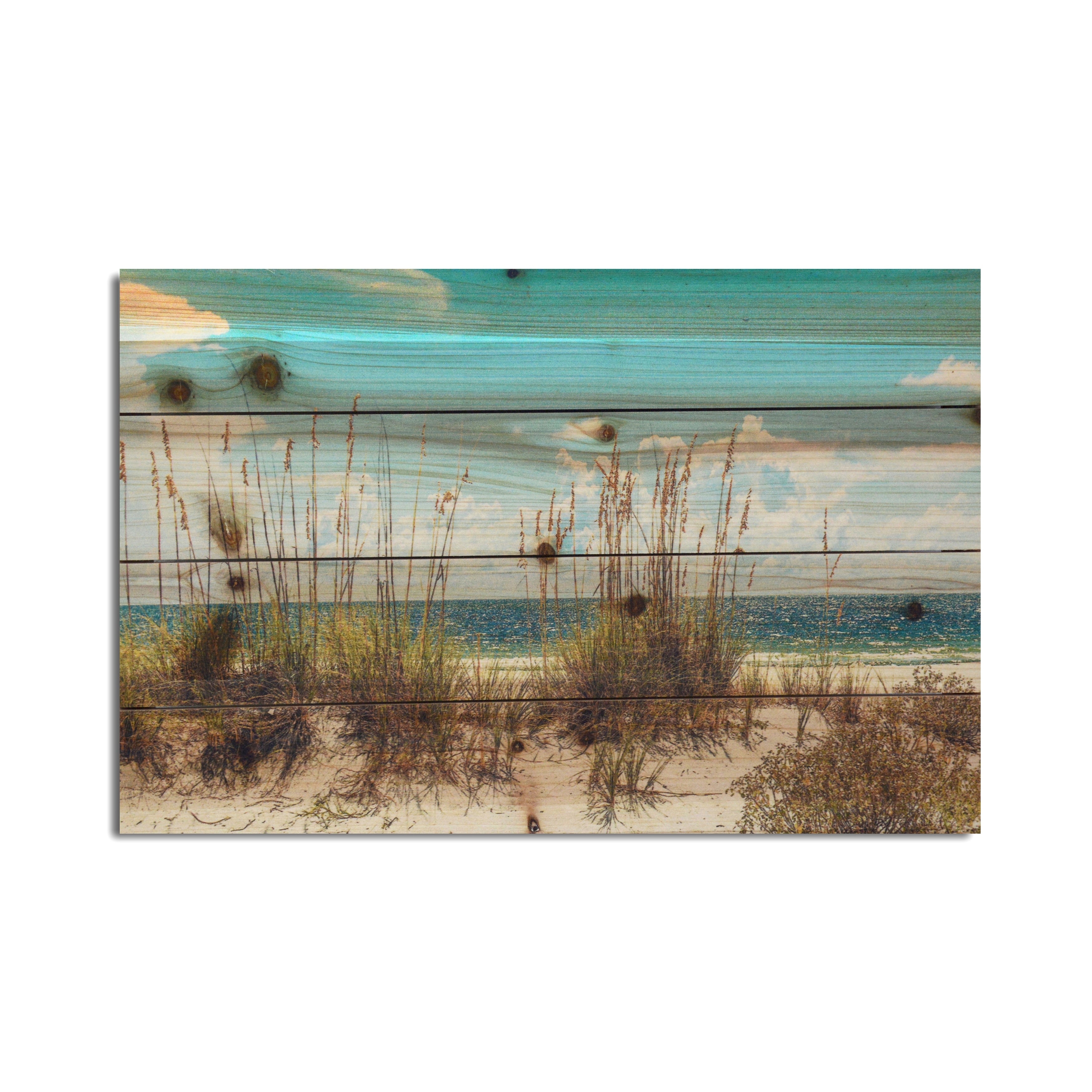 Beach Sand Dunes Landscape Photo Print on Reclaimed Wood Wall Art - Coastal Home Decor for Living Room, Bedroom & Office
