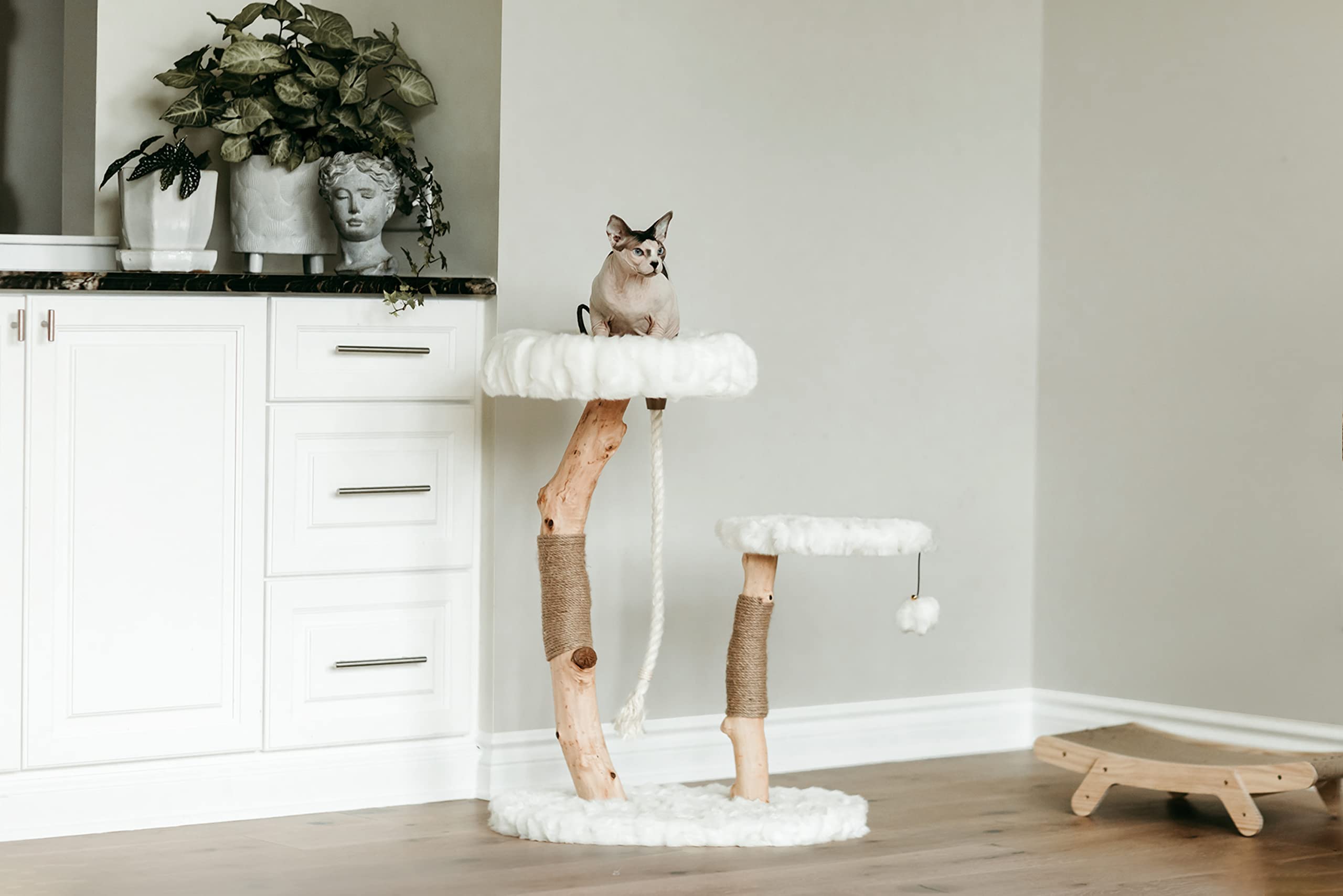 Luxury Modern Cat Tree & Wood Cat Tower - Natural Branch Scratching Post & Cat Condo | Premium Cat Furniture for Indoor Cats | Perfect for Apartments & Home Decor