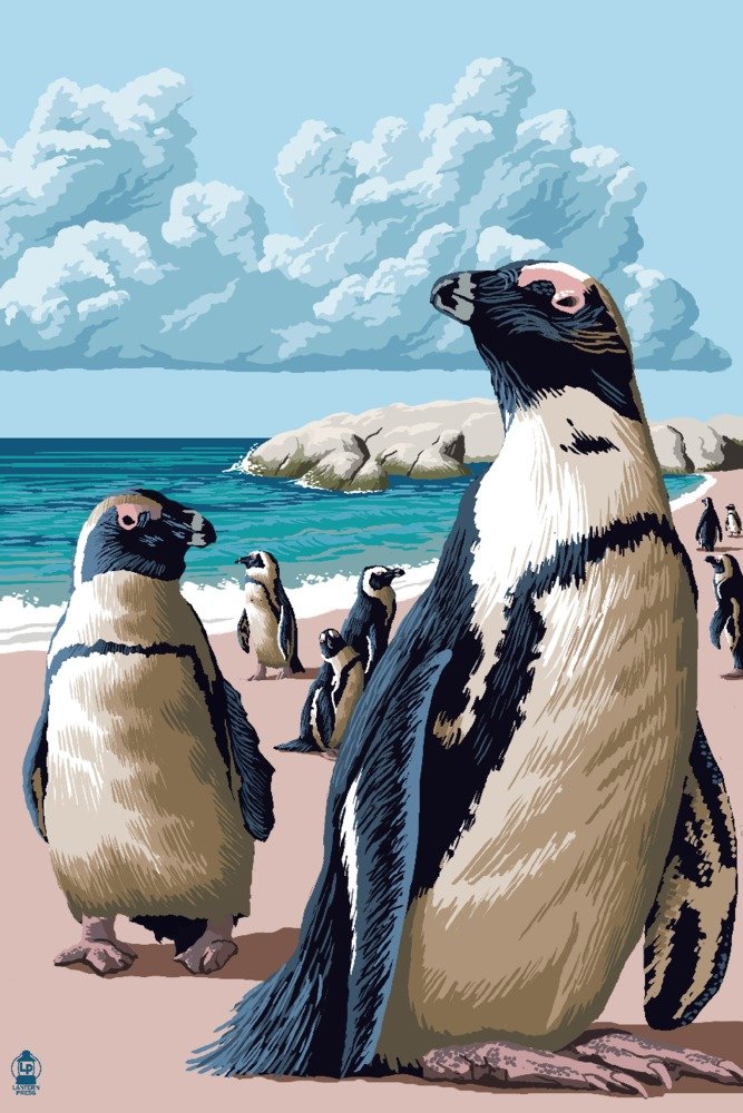 Lantern Press Black Footed Penguins Wall Art - 16x24 Wrapped Canvas Print - Modern Home & Office Decor - Perfect for Living Room, Bedroom, or Nursery
