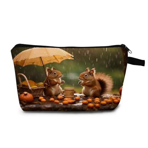 Animal Squirrel