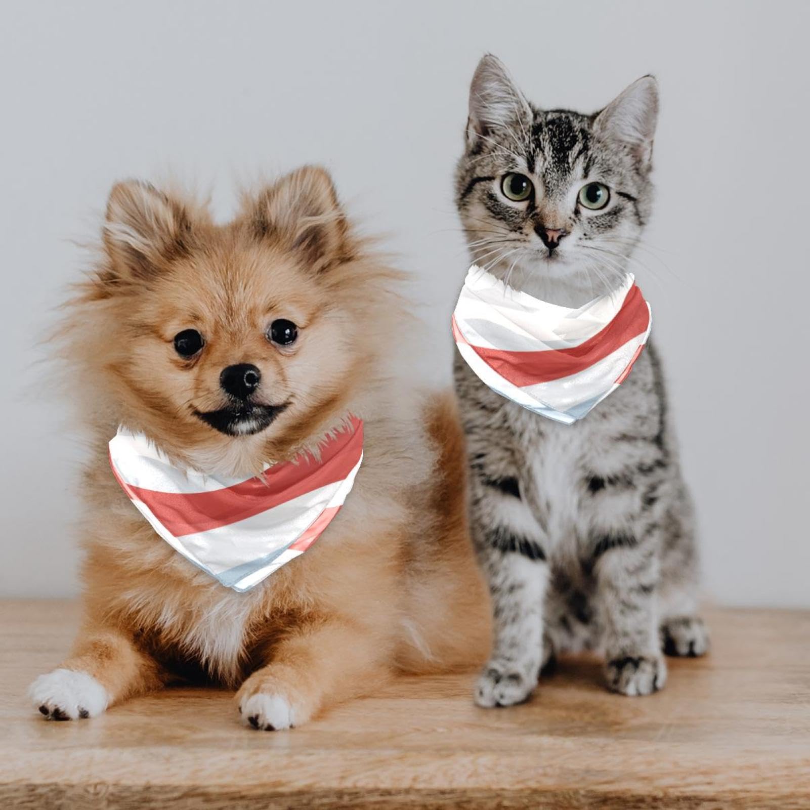 2-Pack Abstract Mountains Dog Bandanas - Stylish Pet Scarf & Wedding Photo Prop for Dogs - Perfect for Outdoor Adventures & Special Occasions