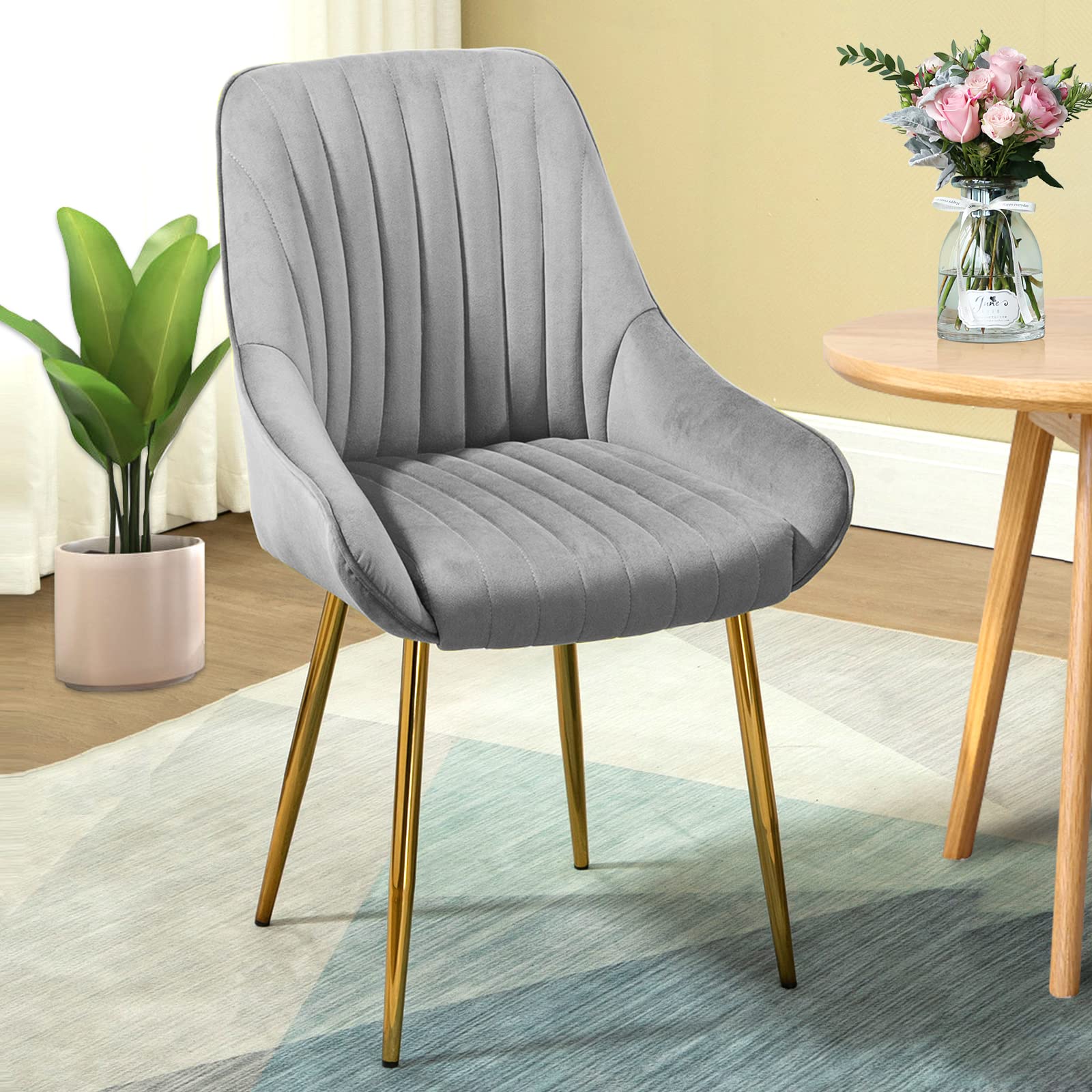 LETESA Velvet Dining Chairs - Modern Upholstered Accent Chairs with Gold Metal Legs for Dining Room, Kitchen, Living Room | Soft Grey Velvet Fabric | Perfect for Home Decor, Entertaining & Vanity Dressing Areas