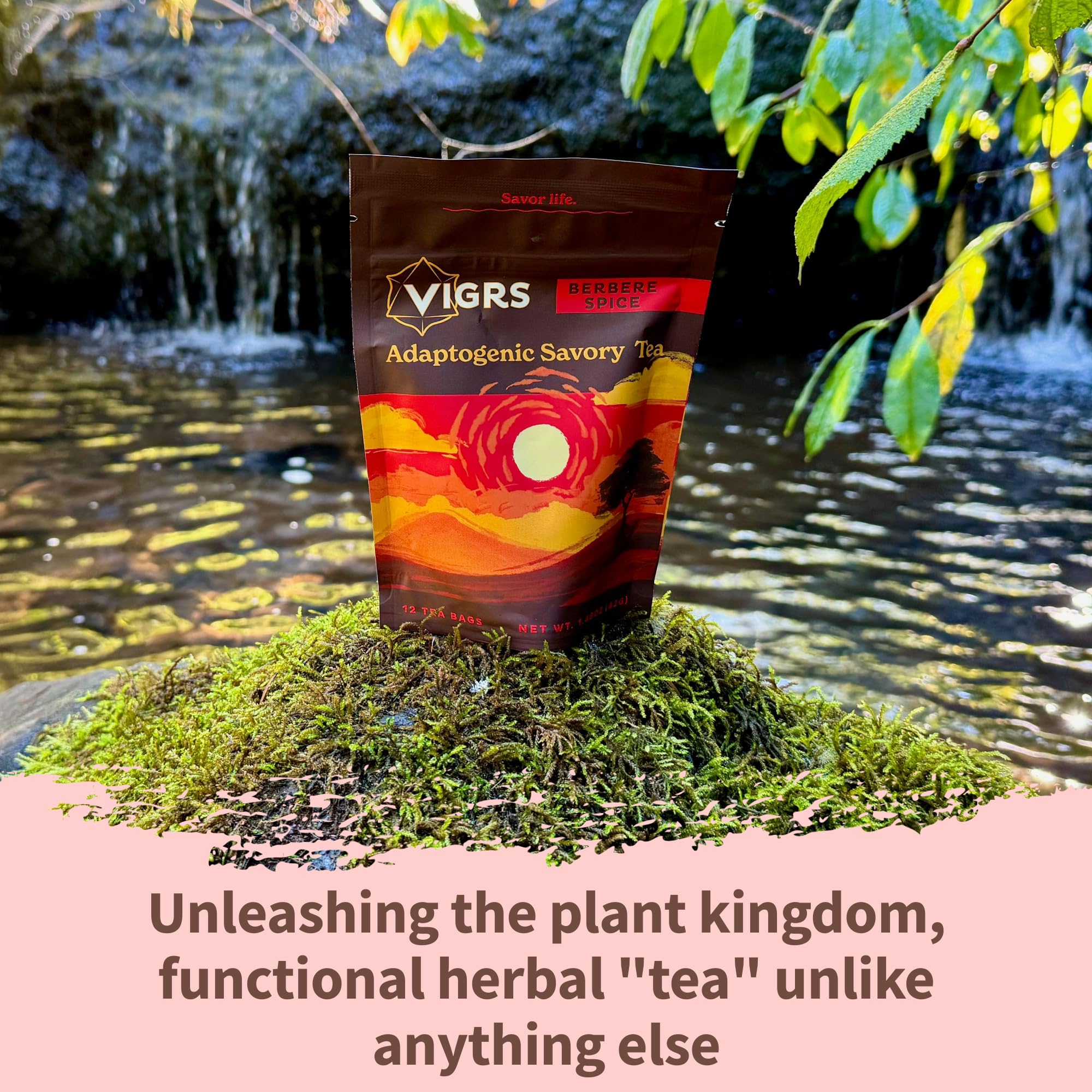 Vigrs Adaptogenic Herbal Sipping Broth Sachets - Berbere Spiced Indian Flavor, Vegan, Keto, Gluten Free, 12 Pack | Perfect for Intermittent Fasting, Wellness Rituals & Savory Tea Time