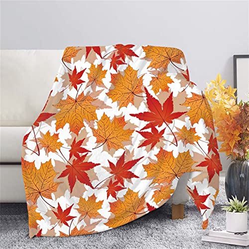 Autumn Maple Leaves