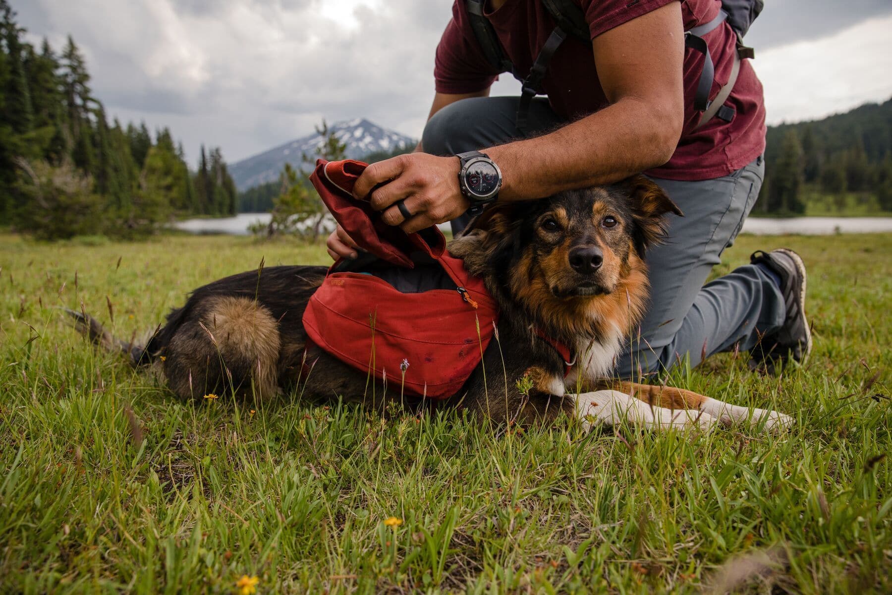 Ruffwear Front Range Dog Backpack - Aqua Green (Aurora Teal) Waterproof Hiking Pack for Medium Dogs | Perfect for Outdoor Adventures, Camping & Daily Walks