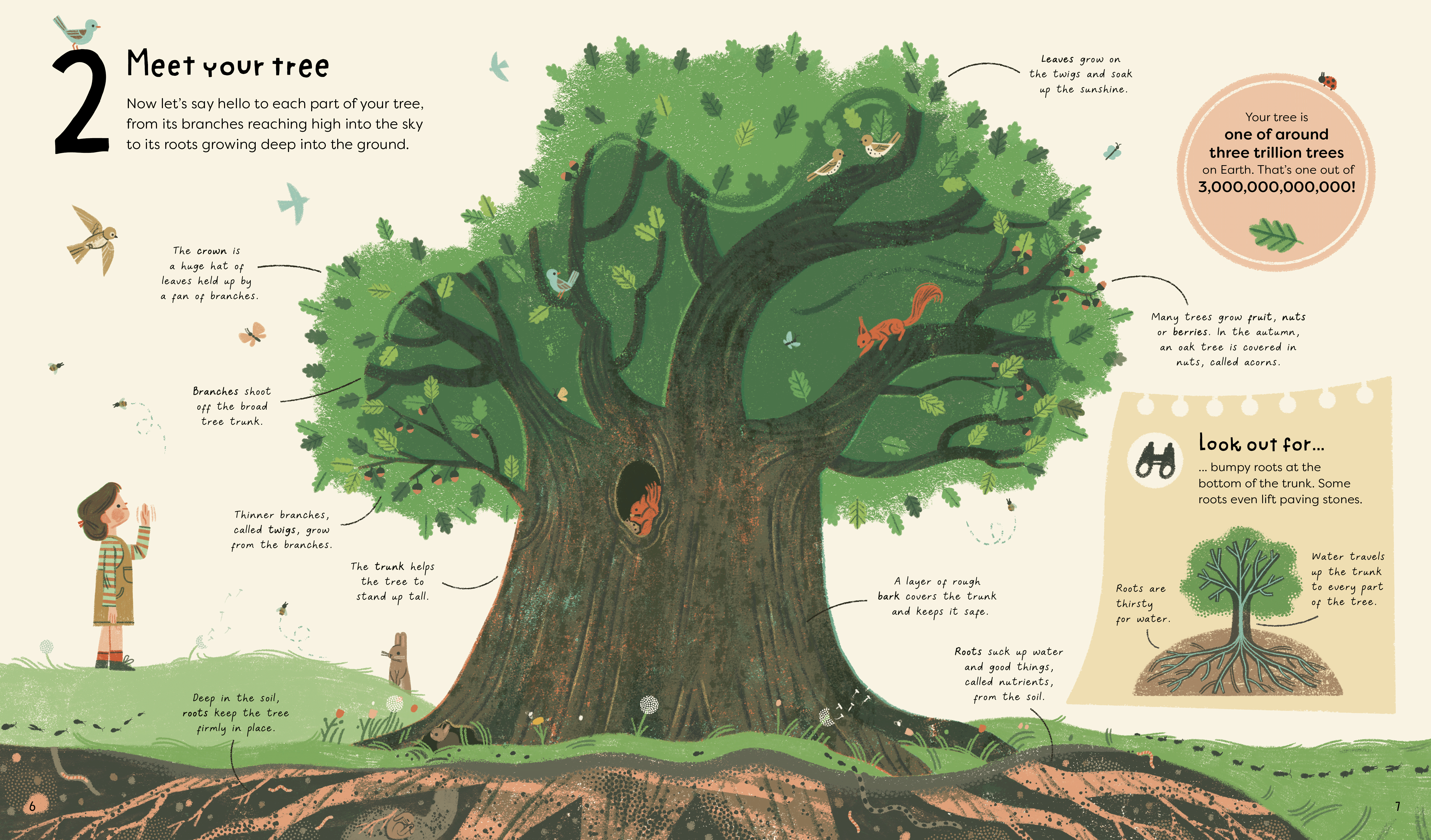 21 Creative Things to Do with a Tree - Outdoor Activities & Nature Crafts for Kids & Adults | Perfect for Camping, Backyard Fun & Forest School Projects