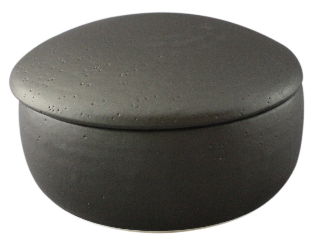 Premium Banko Ware Black Glaze Japanese Teapot - 2 Cup Capacity (33-2-17) | Authentic Tokoname-Yaki Ceramic for Matcha, Sencha & Daily Tea Brewing