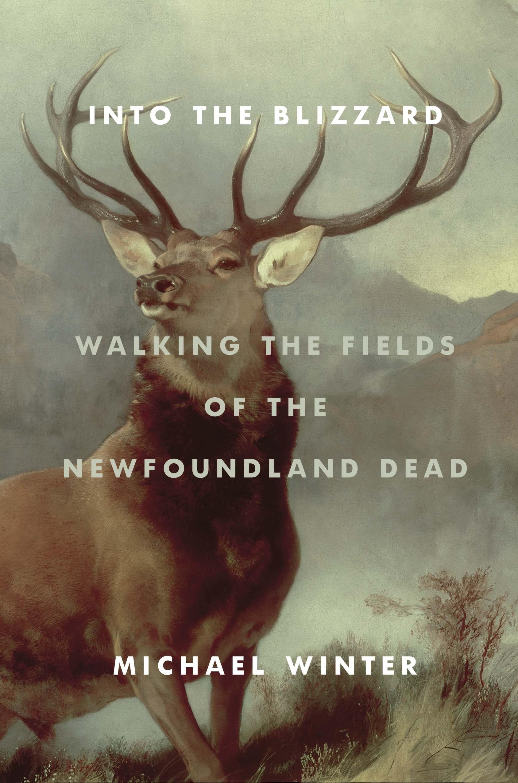 Into the Blizzard: Exploring Newfoundland's Historic Battlefields - Perfect for History Buffs & Adventure Travelers