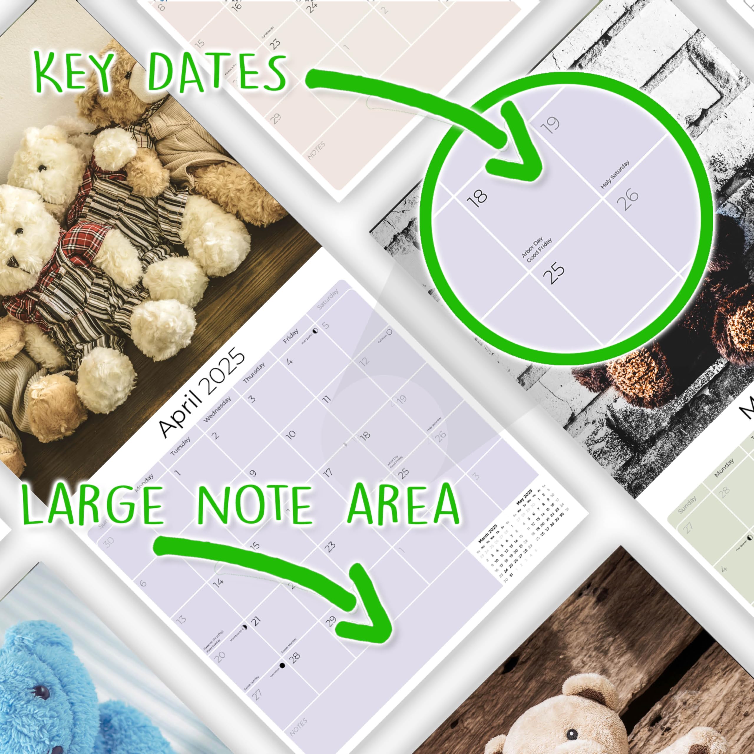 2024-2025 Teddy Bear Wall Calendar - 12