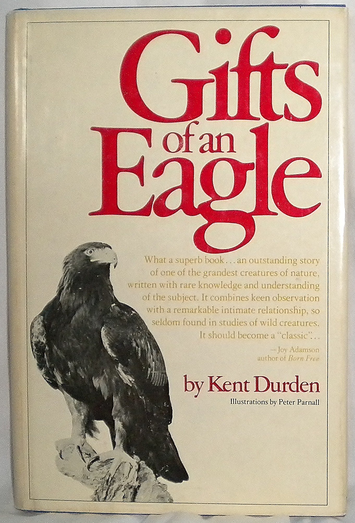 Gifts of an Eagle - Unique Handmade Eagle-Themed Gifts for Nature Lovers & Collectors | Perfect for Birthdays, Anniversaries & Home Decor