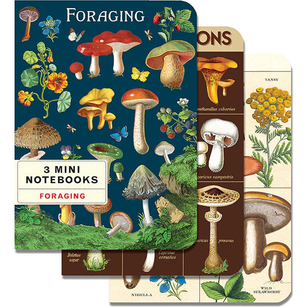 Cavallini & Co. 3-Pack Mini Notebook Set - Foraging Theme - Perfect for Journaling, Sketching & Nature Notes - Ideal for Outdoor Enthusiasts & Botanical Lovers