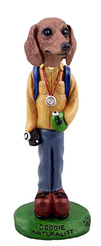 Authentic Dachshund Red Naturalist Dog Collectible Figurine - Perfect for Home Decor, Gift Giving & Animal Lover Collections