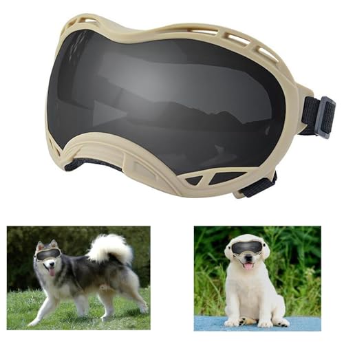 Khaki Frame &Gray Lens/Small