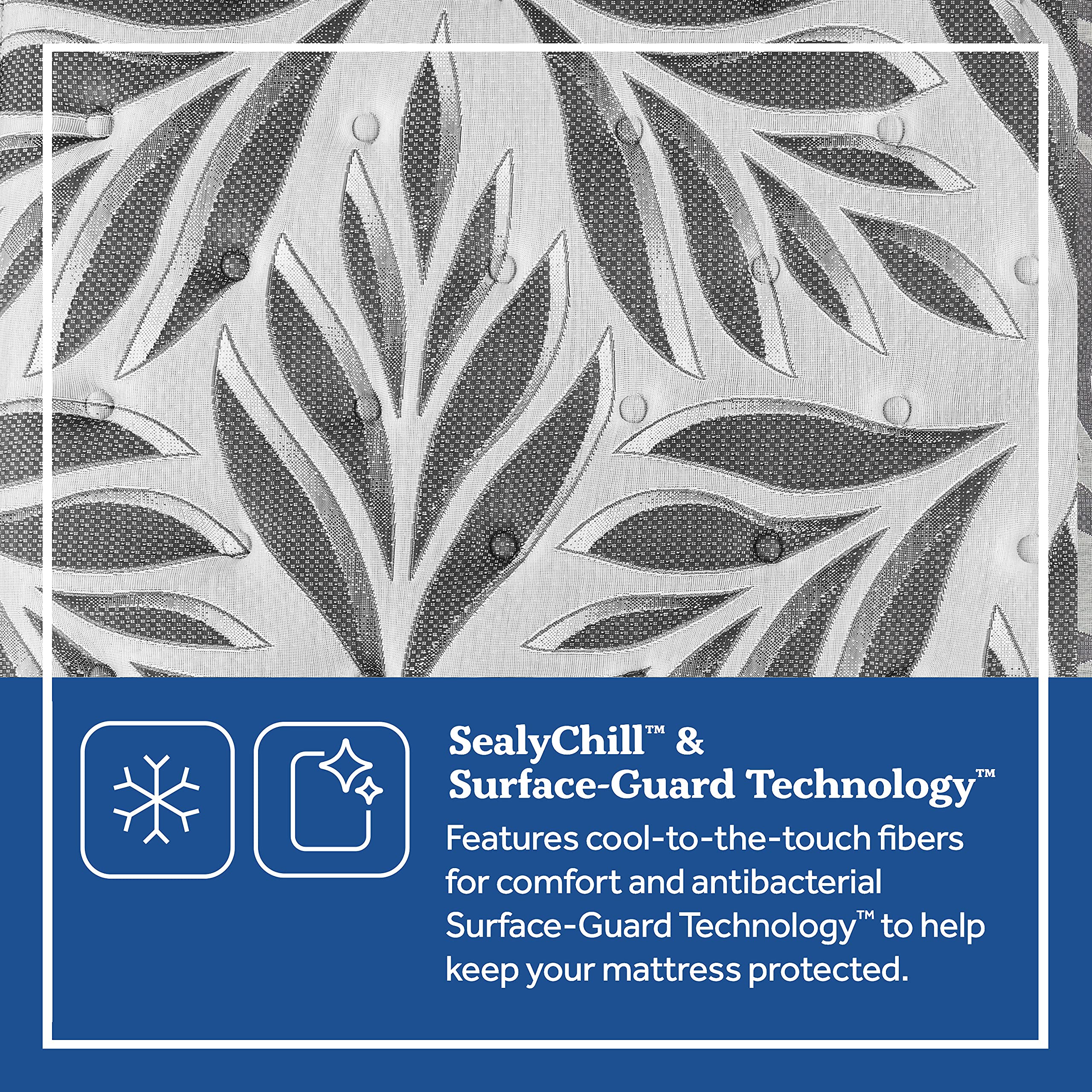 Sealy Posturepedic Plus Tight Top 15
