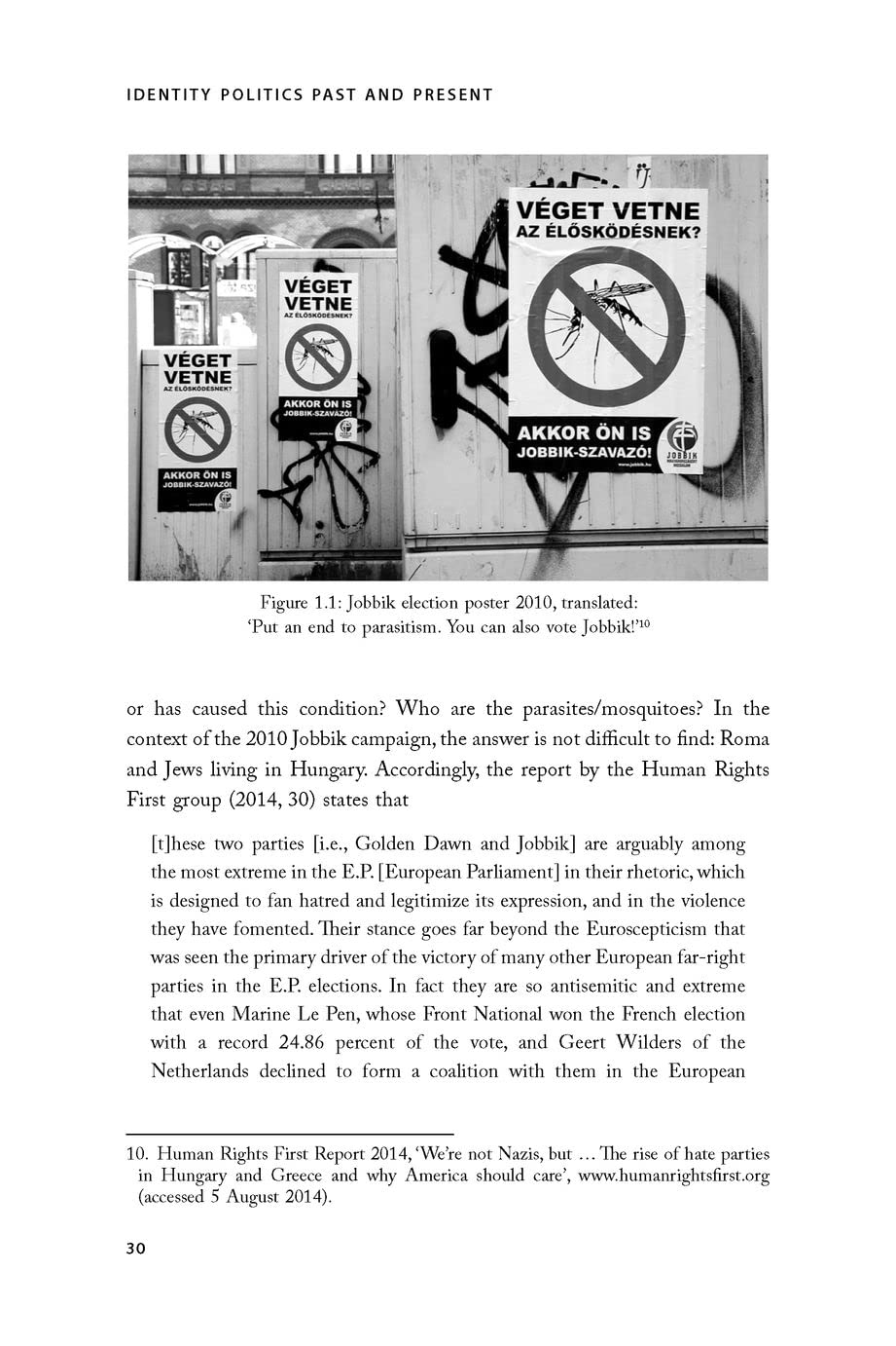 Identity Politics Past and Present: Political Discourses from Post-War Austria to the Covid Crisis | Historical & Contemporary Analysis | Perfect for Political Science Students & Researchers