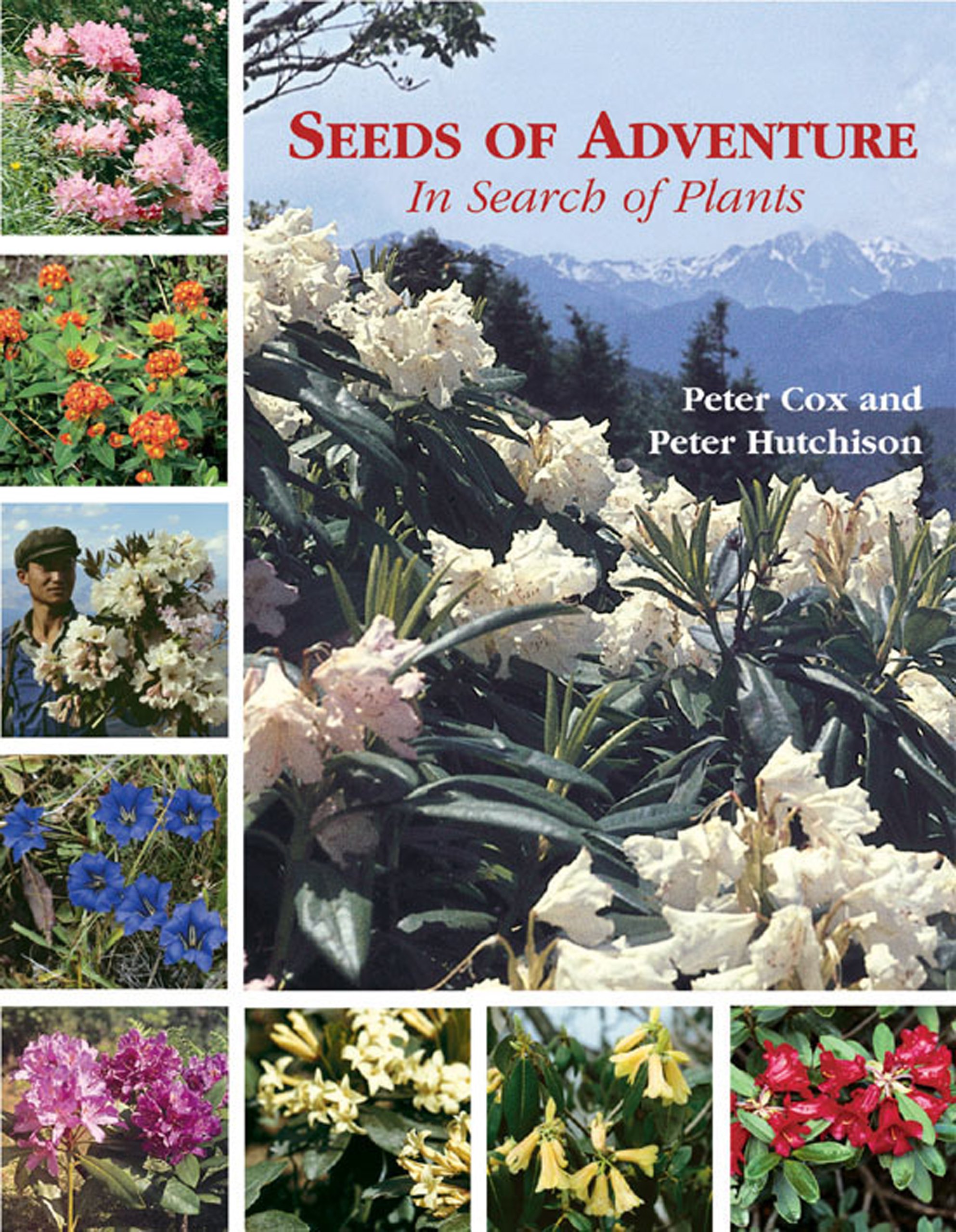 Adventure Seeds: Premium Plant Seeds for Gardening - Grow Exotic Plants at Home, Perfect for Indoor & Outdoor Gardens
