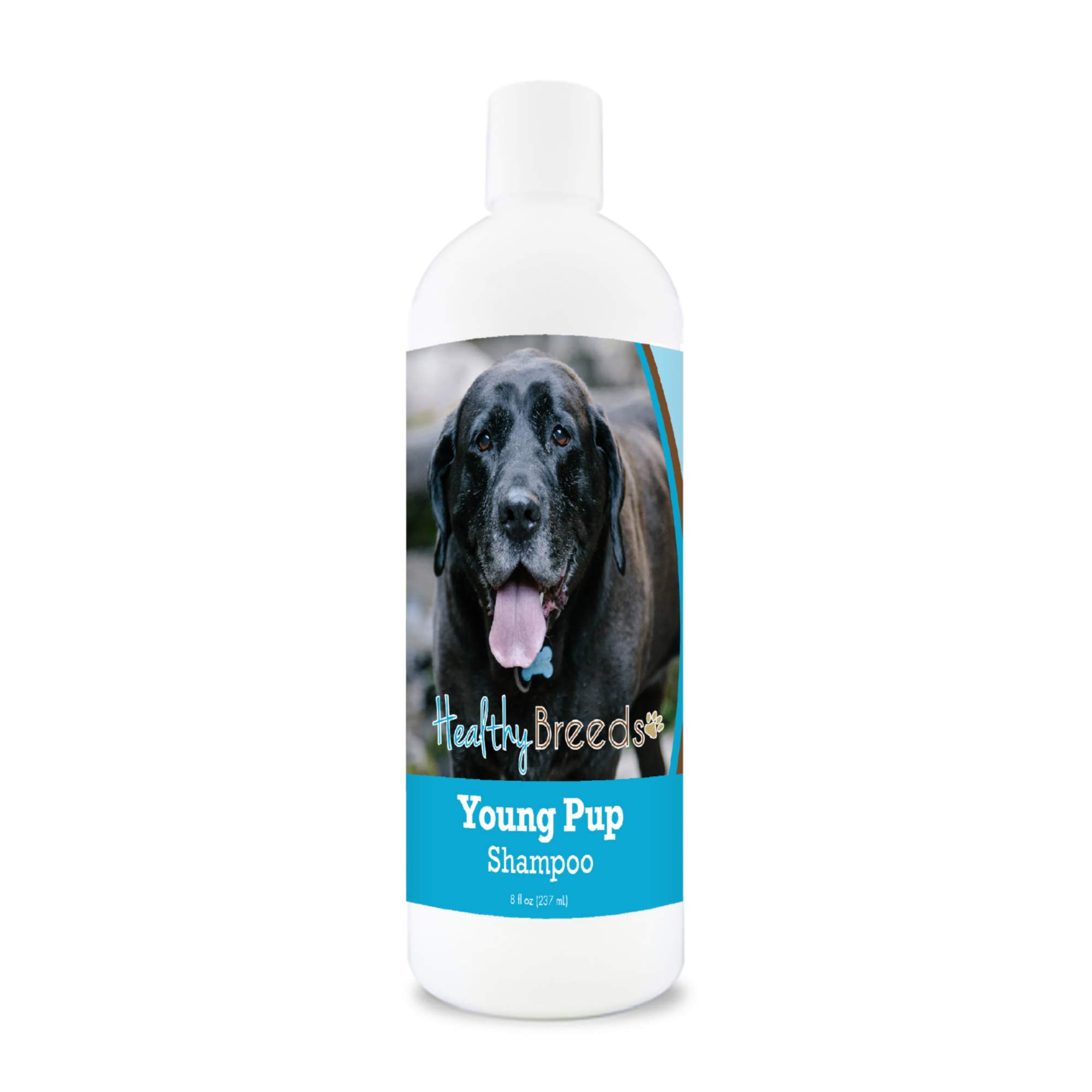 Healthy Breeds Mastador Puppy Shampoo - 8 oz Gentle Tear-Free Formula for Sensitive Skin - Perfect for Bathing & Grooming Young Mastador Puppies