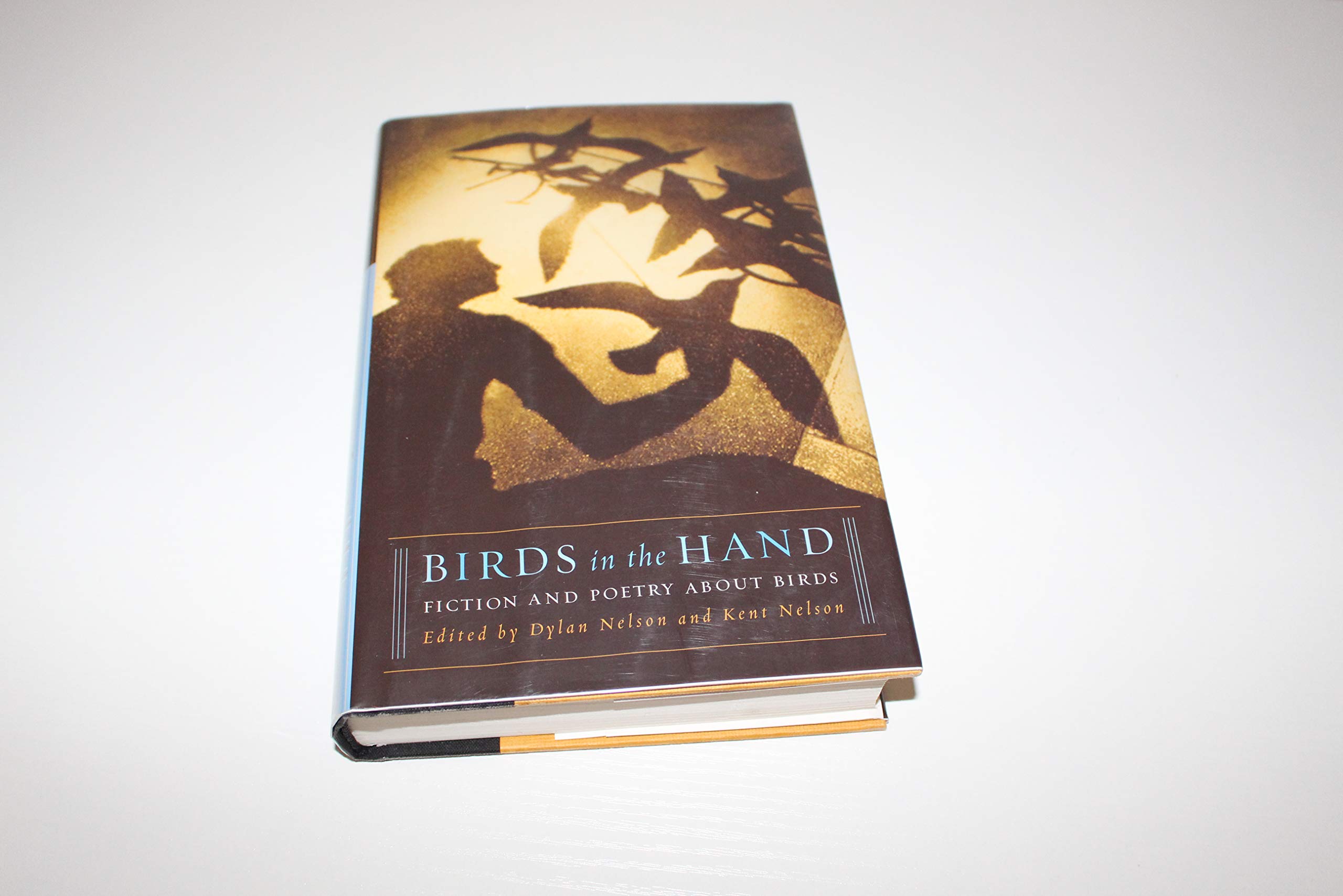 Birds in the Hand: Award-Winning Fiction & Poetry Book About Birds - Perfect for Nature Lovers & Birdwatching Enthusiasts