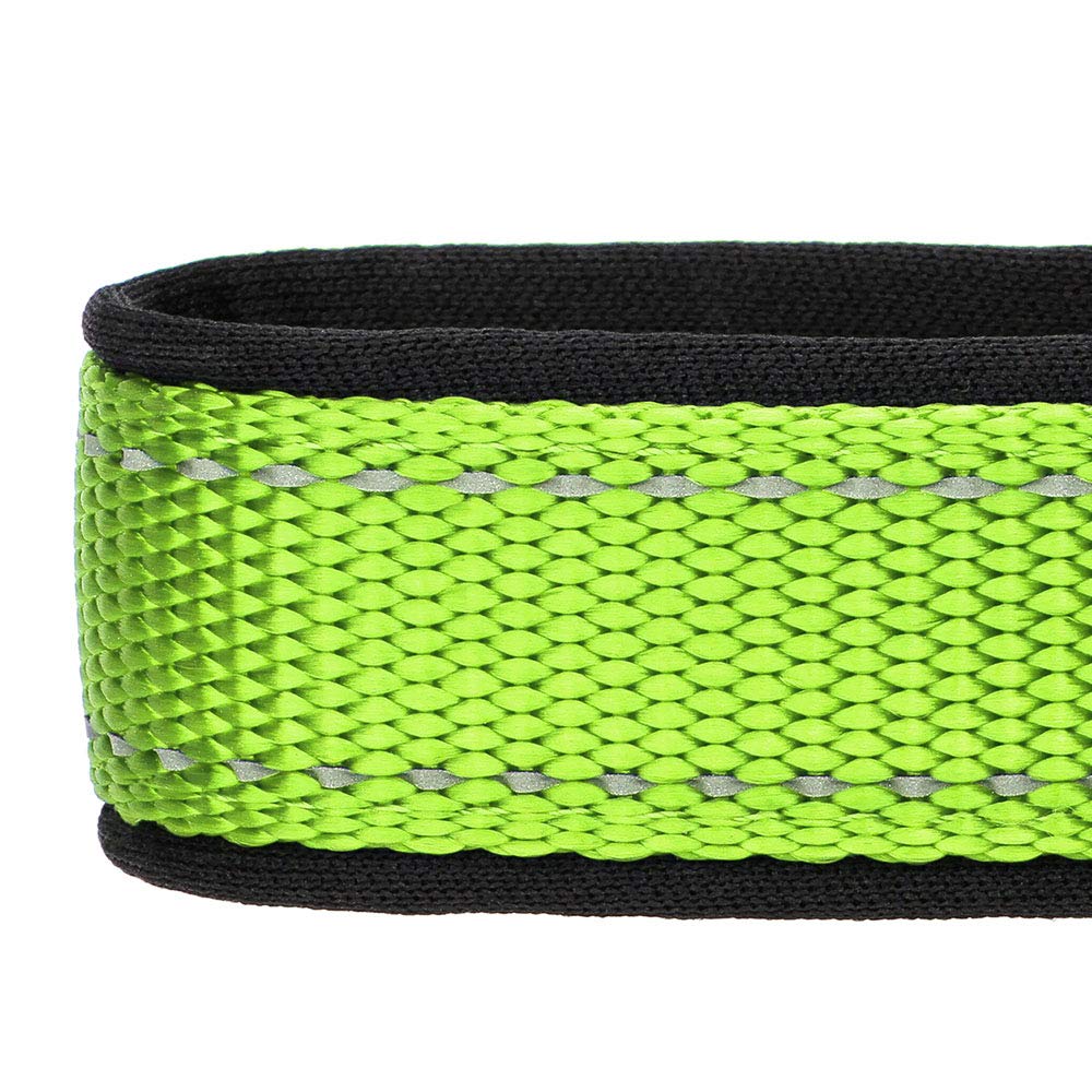 Rhea Rose Reflective Dog Collar - Soft Comfortable Neoprene Padded Nylon Collar for Small, Medium & Large Dogs | High Visibility Yellow-Green | Perfect for Night Walks & Outdoor Adventures