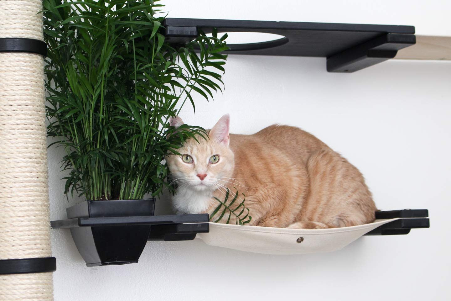 Multi-Level Wall Mounted Cat Climbing Furniture - Scratch Post, Hammock Lounge & Play Activity Center for Indoor Cats | Space-Saving Cat Tree Shelves for Small Apartments | Perfect for Play, Rest & Exercise
