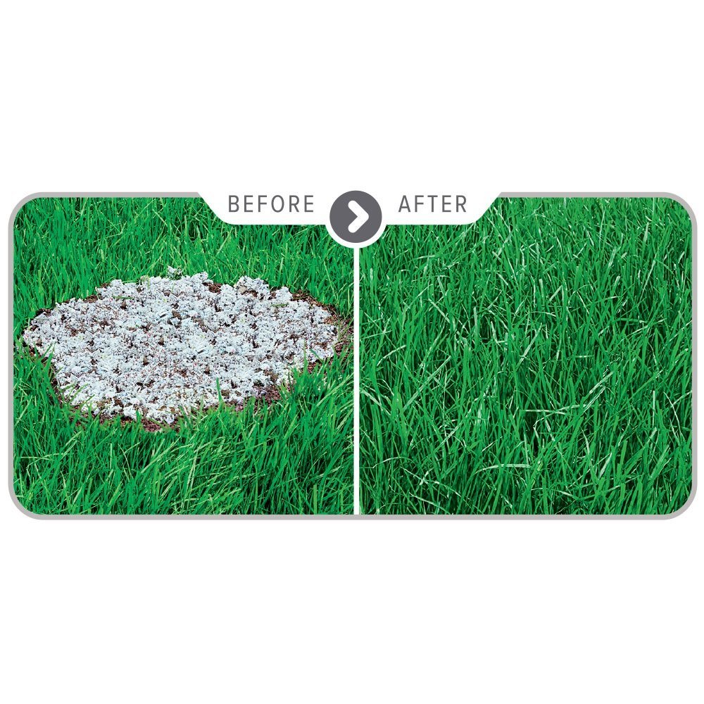 Scotts PatchMaster Sun & Shade Lawn Repair Mix - 4.75 lb Bag with Grass Seed, Fertilizer & Mulch for Fast Lawn Repair - Perfect for Bare Spots, Dog Damage & High Traffic Areas in Yards