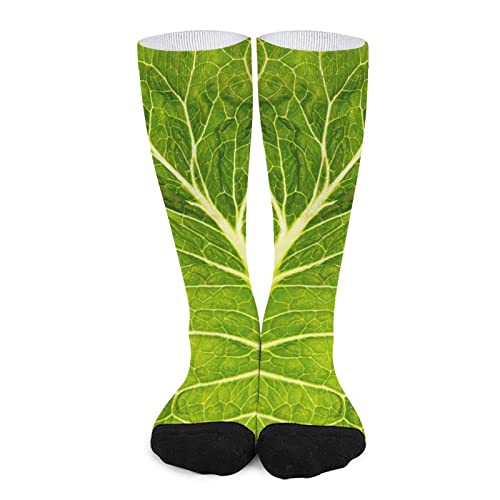 Green Lettuce