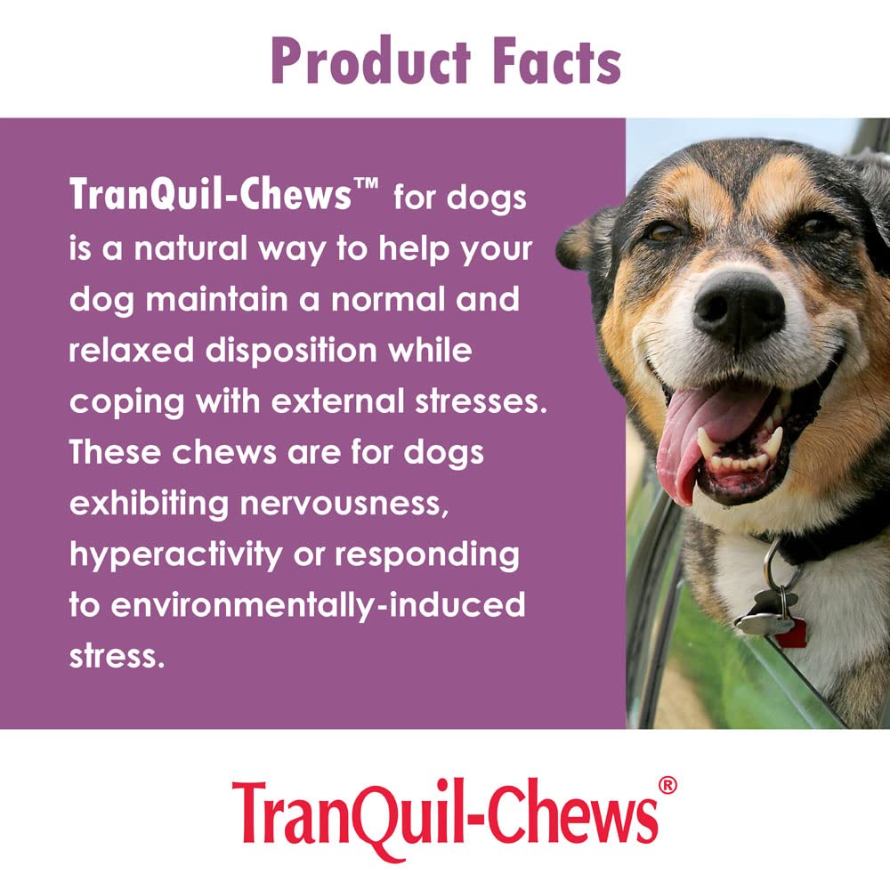 TranQuil-Chews for Dogs - Calming Soft Chews with Chamomile, L-Tryptophan & Melatonin - Stress & Anxiety Relief for Travel, Separation & Thunderstorms - 180 Count - Vet Recommended for Nervous Pups