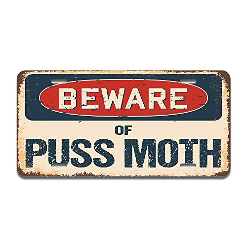 Beware of Puss Moth