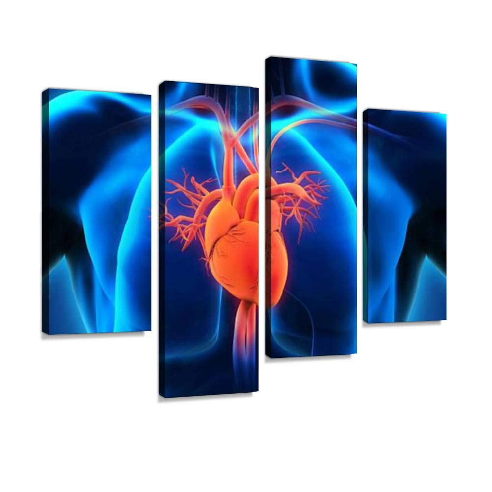 Human Heart Anatomy Canvas Wall Art - Modern Framed Painting Poster Set of 4 Panels | Ready to Hang Home Decor for Living Room, Bedroom & Office | Perfect for Medical Students, Doctors & Science Lovers