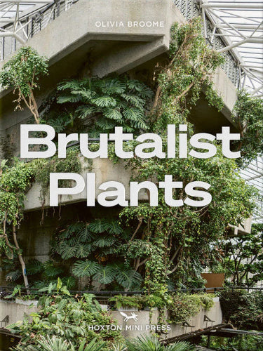 Brutalist Style Indoor Plants - Modern Minimalist Home Decor for Living Room, Office & Bedroom - Low Maintenance Houseplants for Urban Jungle & Boho Aesthetic