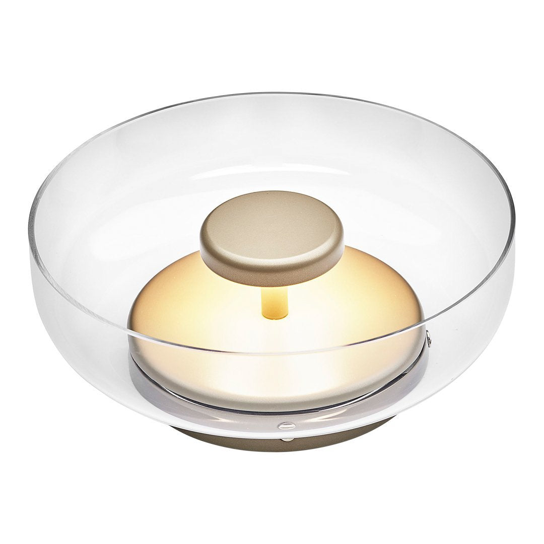 Blossi Modern Wall Sconce Light - Elegant LED Wall Lamp for Bedroom, Living Room, and Hallway - Perfect for Ambient Lighting and Home Decor