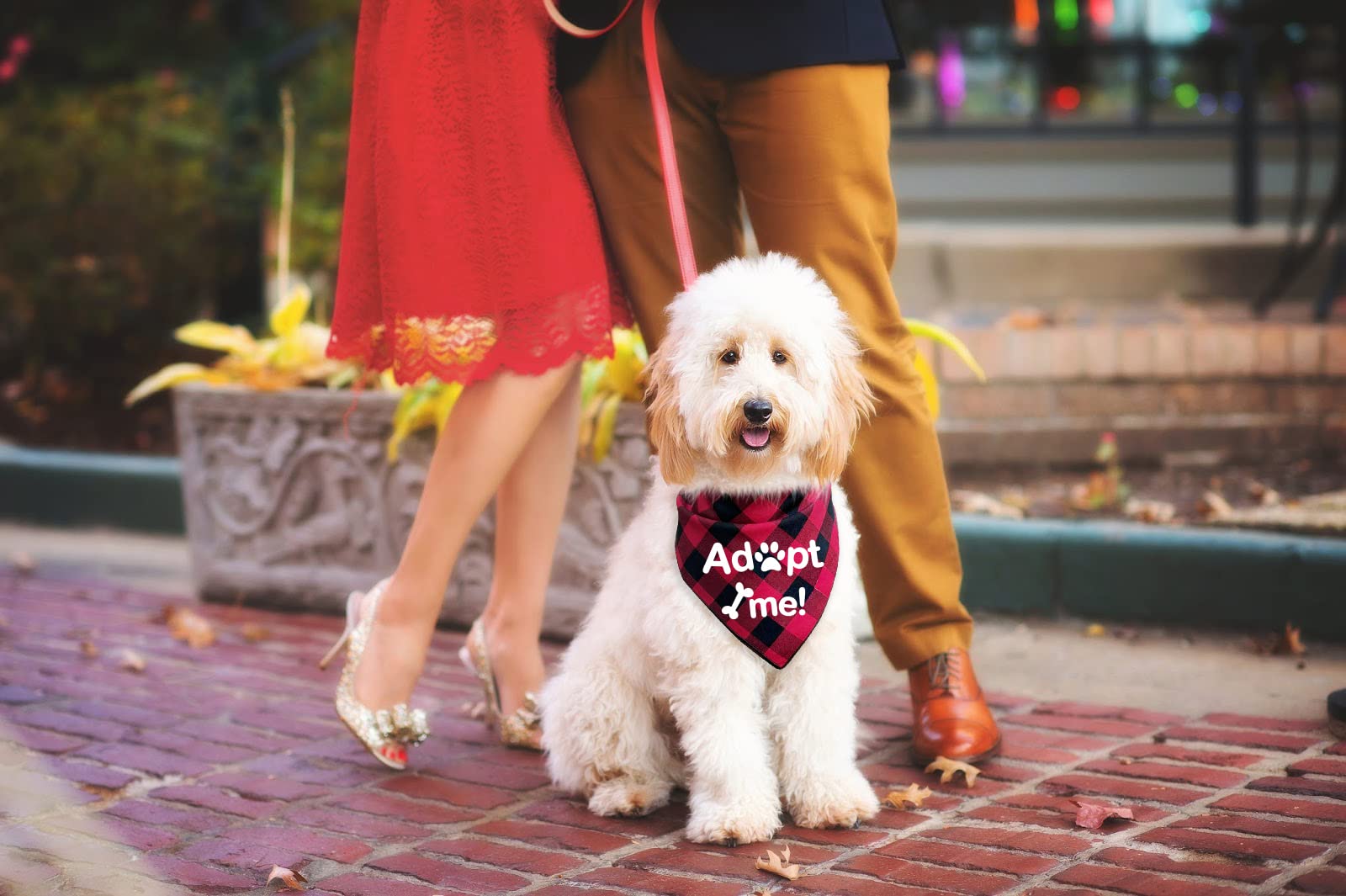 PTZIZI Adopt Me Red Plaid Cotton Pet Bandana for Small Medium Large Dogs - Adjustable Triangle Dog Scarf for Birthday Parties, Gender Reveal Photos & Pet Lovers Gifts | Perfect for Dog Accessories, Costume Parties & Holiday Pet Photography