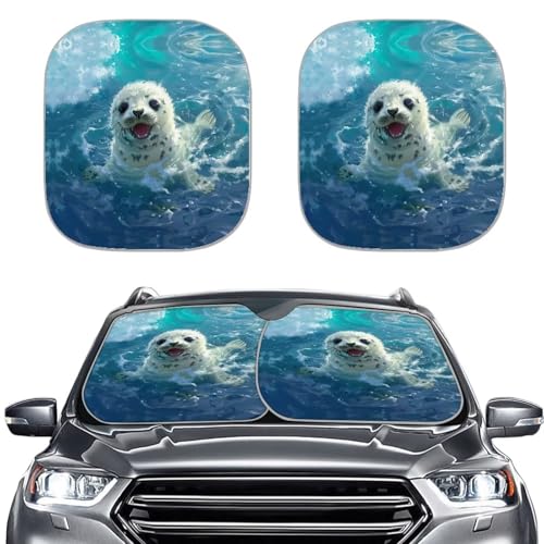 A Ocean Otter