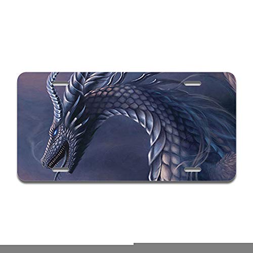 Dragon Fantasy