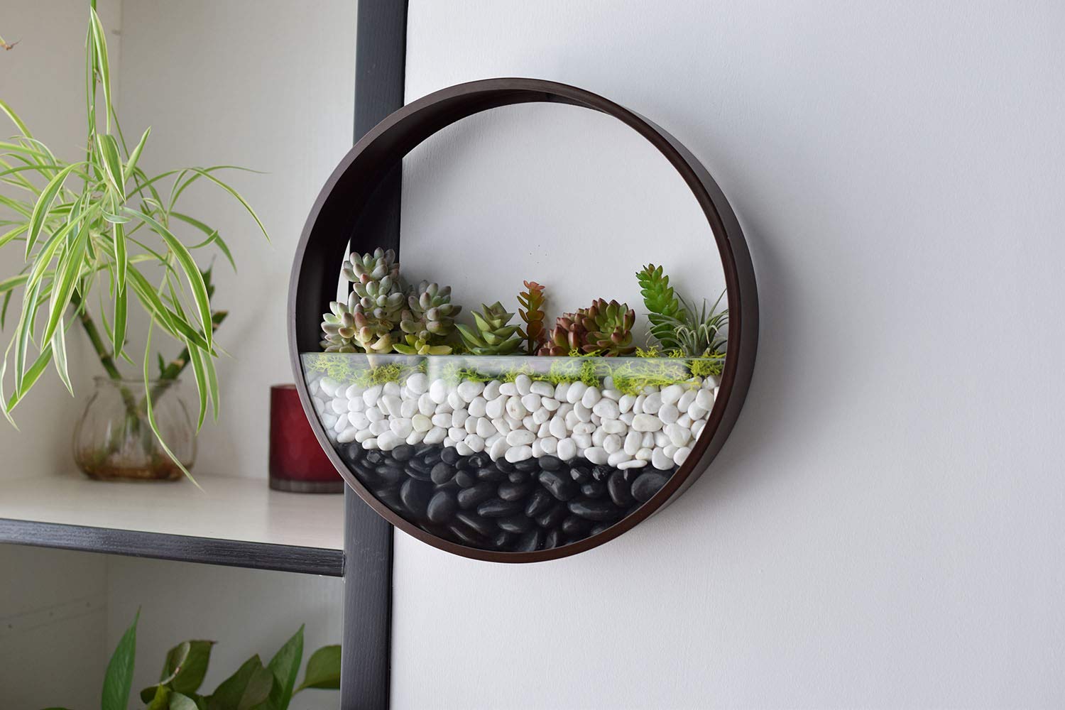 Ecosides 8