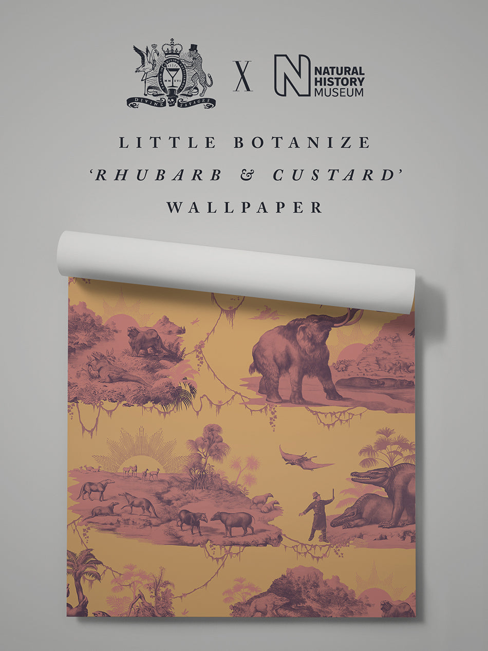 Rhubarb & Custard
