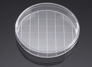 Corning Falcon 150mm Cell Culture Dish with 20mm Grid - TC-Treated, Sterile, CS100 for Laboratory Cell Growth and Research