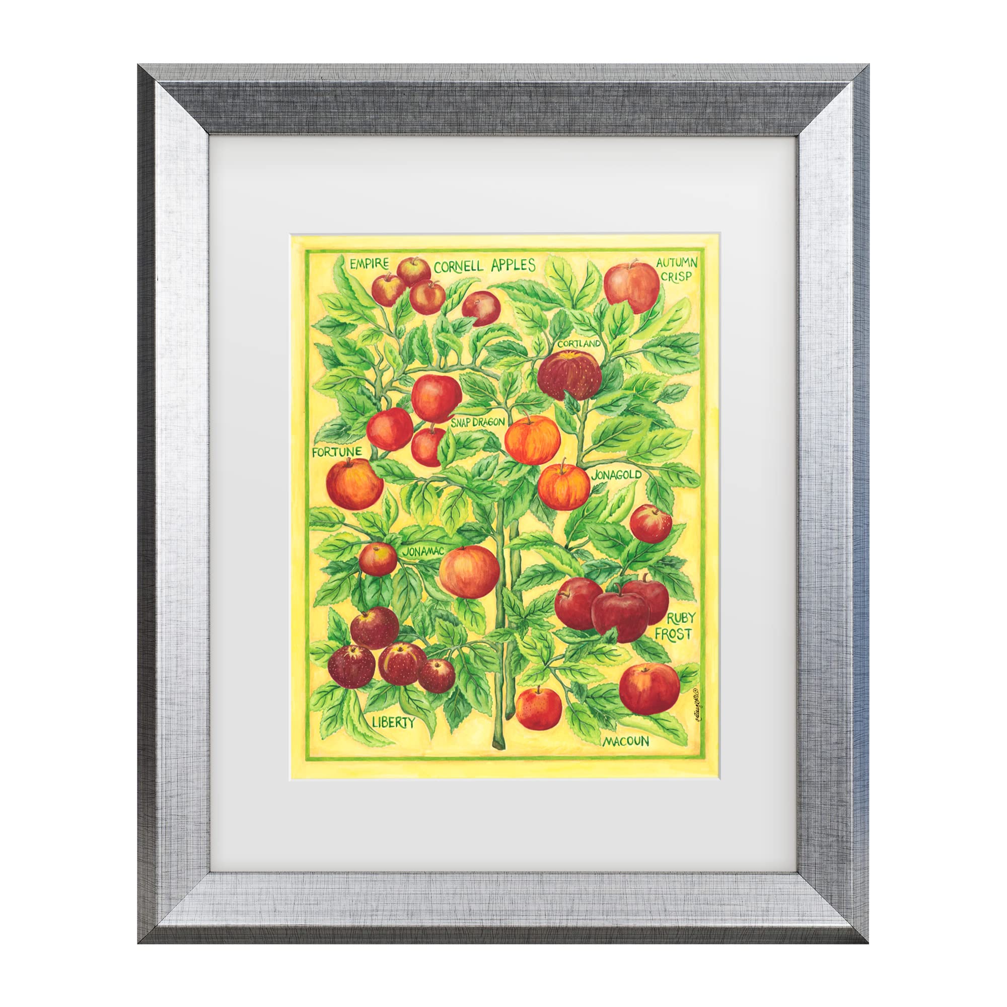 Trademark Fine Art 'Cornell Apples' Canvas Wall Art by Andrea Strongwater - Modern Home Decor for Living Room, Bedroom & Office